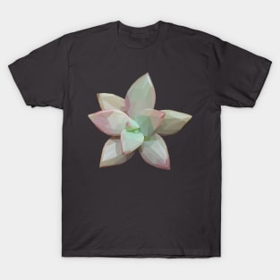 Pink Green Succulent T-Shirt